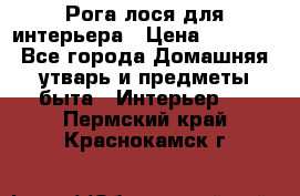 Рога лося для интерьера › Цена ­ 3 300 - Все города Домашняя утварь и предметы быта » Интерьер   . Пермский край,Краснокамск г.